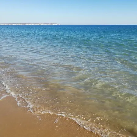 Сasa de vacaciones Luxury And Comfort In La Marina, With Sea Views At El Pinet
