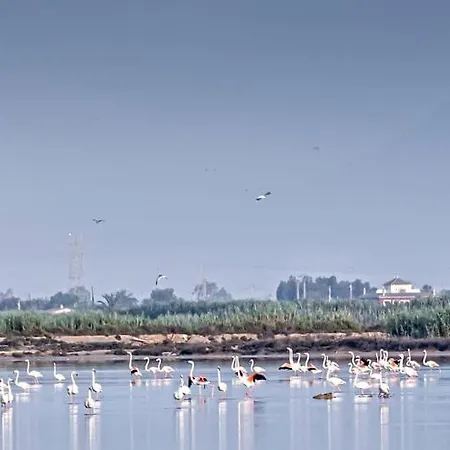 Luxury And Comfort In La Marina, With Sea Views At El Pinet Hébergement de vacances *